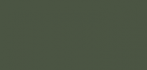 CANSON Mi-Teintes Бумага для пастели 160г/м.кв 75*110см №448 Зеленый плющ